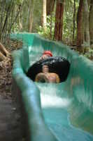  2007-12-10 15.04.27.JPG 